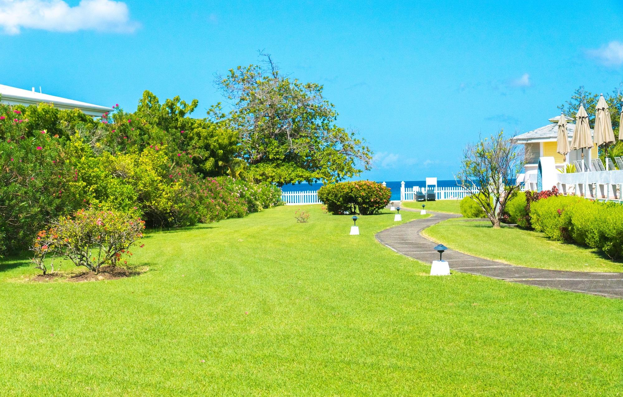 Allamanda Beach Resort Grand Anse Luaran gambar